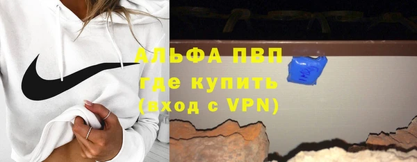 прущие грибы Абинск