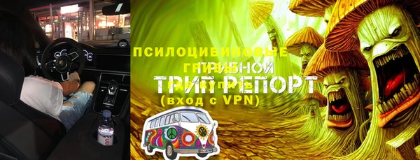 хмурый Белокуриха