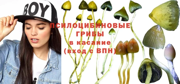 СК Белоозёрский